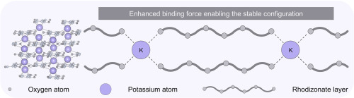 Image related to publication 3