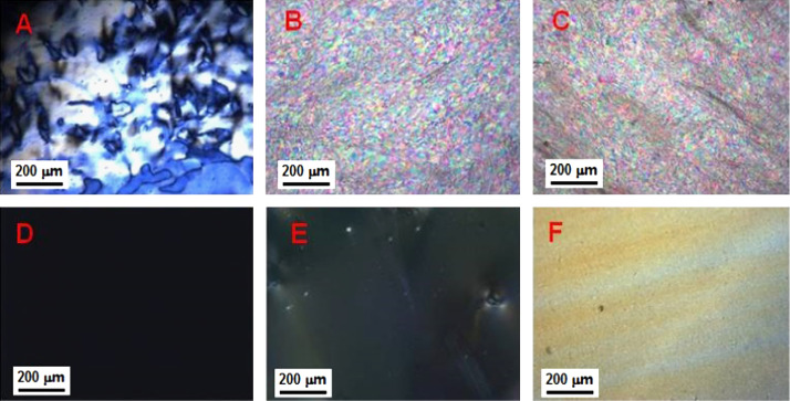 Image related to publication 6