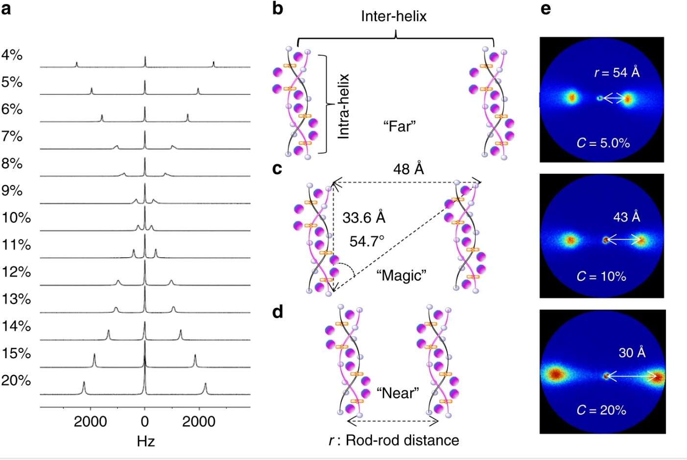 Research Image 2